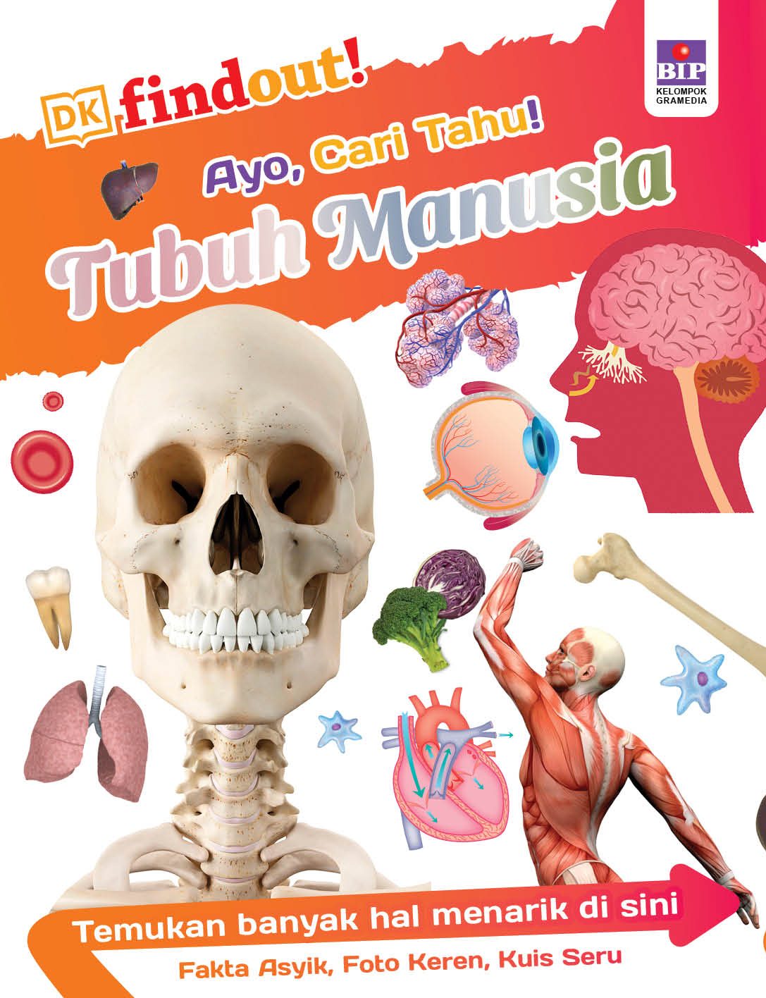 Ayo, Cari Tahu! Tubuh Manusia