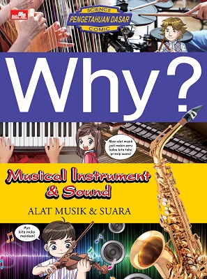 Why? Musical Instrument & Sound